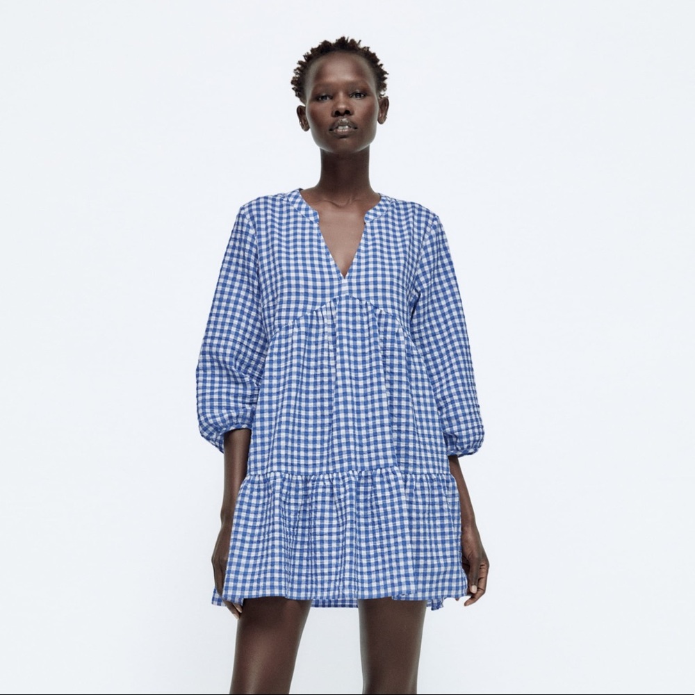Zara Blue and White Gingham Mini Dress
